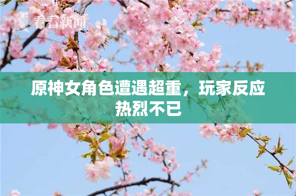 原神女角色遭遇超重，玩家反应热烈不已