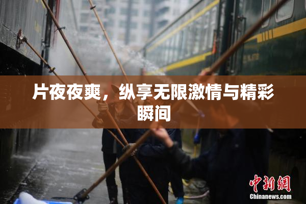 片夜夜爽，纵享无限激情与精彩瞬间