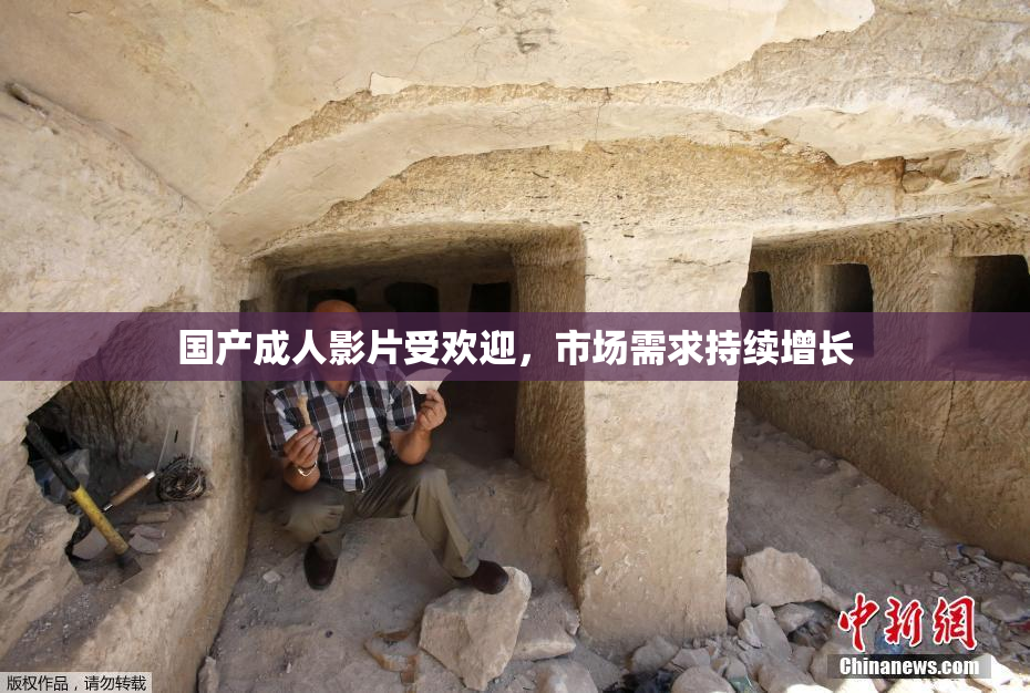 国产成人影片受欢迎，市场需求持续增长