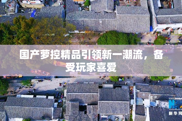 国产萝控精品引领新一潮流，备受玩家喜爱