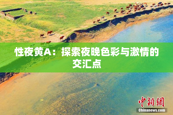 性夜黄A：探索夜晚色彩与激情的交汇点