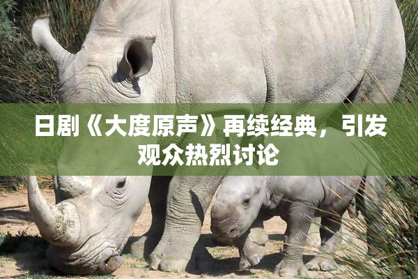 日剧《大度原声》再续经典，引发观众热烈讨论