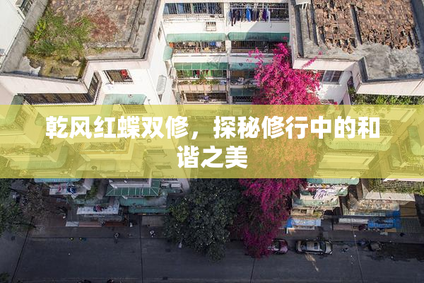 乾风红蝶双修，探秘修行中的和谐之美
