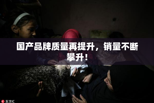 国产品牌质量再提升，销量不断攀升！