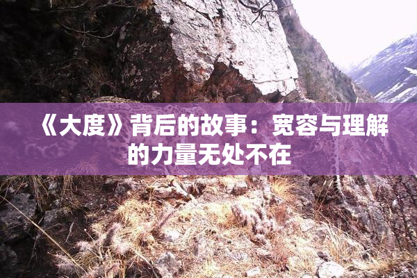 《大度》背后的故事：宽容与理解的力量无处不在