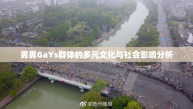 男男GaYs群体的多元文化与社会影响分析