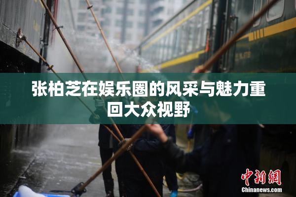 张柏芝在娱乐圈的风采与魅力重回大众视野