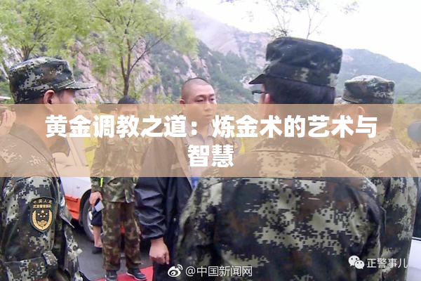 黄金调教之道：炼金术的艺术与智慧
