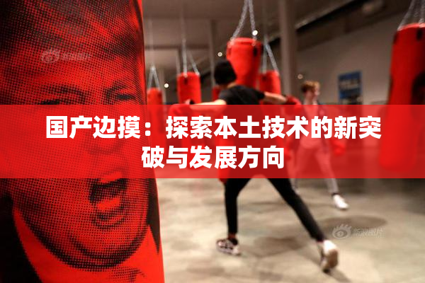 国产边摸：探索本土技术的新突破与发展方向