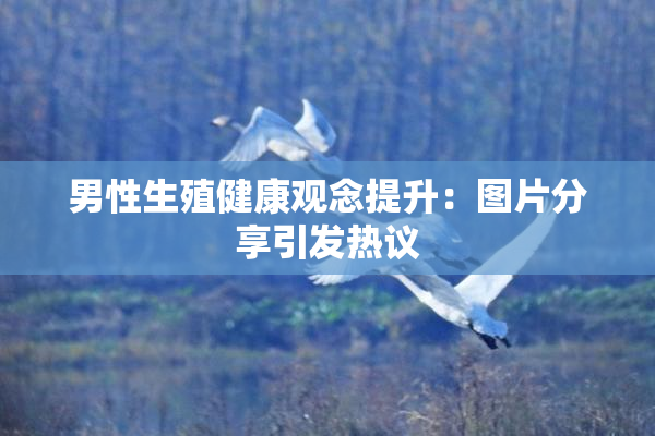 男性生殖健康观念提升：图片分享引发热议