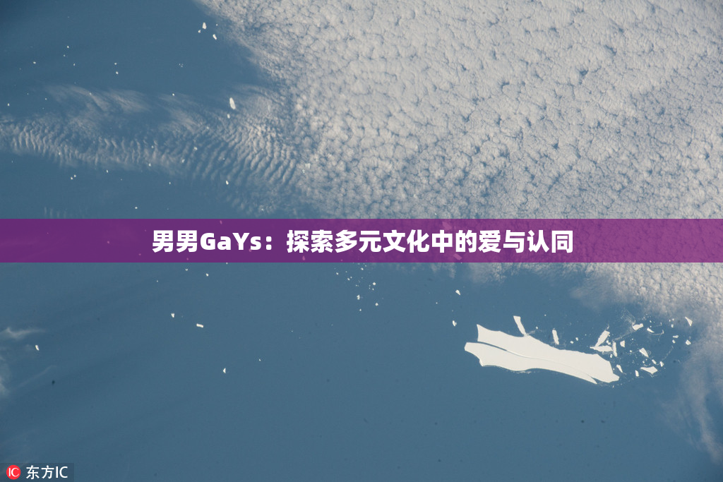 男男GaYs：探索多元文化中的爱与认同