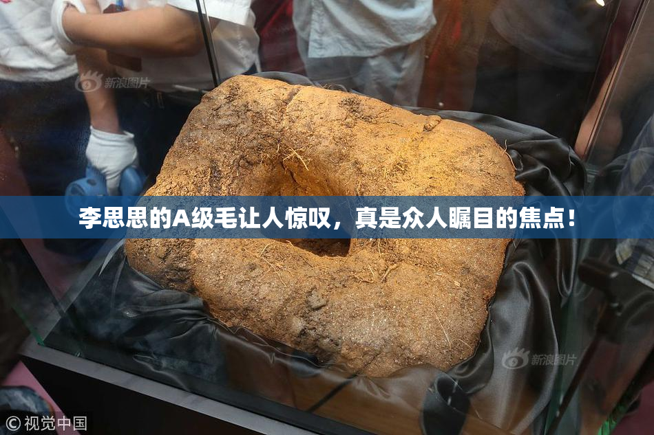 李思思的A级毛让人惊叹，真是众人瞩目的焦点！