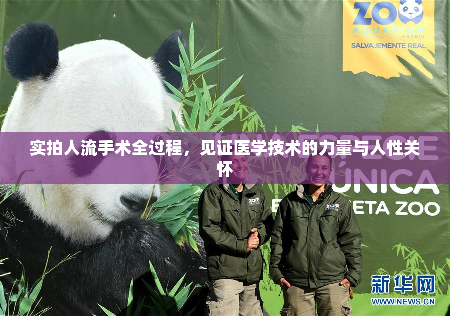实拍人流手术全过程，见证医学技术的力量与人性关怀