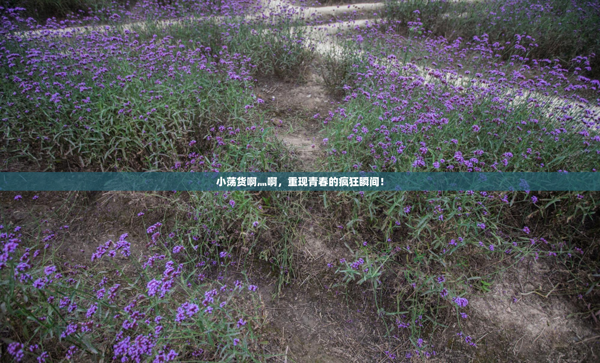 小荡货啊灬啊，重现青春的疯狂瞬间！