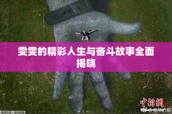 雯雯的精彩人生与奋斗故事全面揭晓