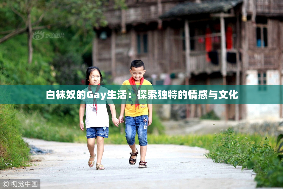 白袜奴的Gay生活：探索独特的情感与文化