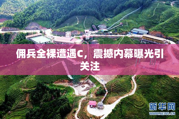 佣兵全裸遭遇C，震撼内幕曝光引关注