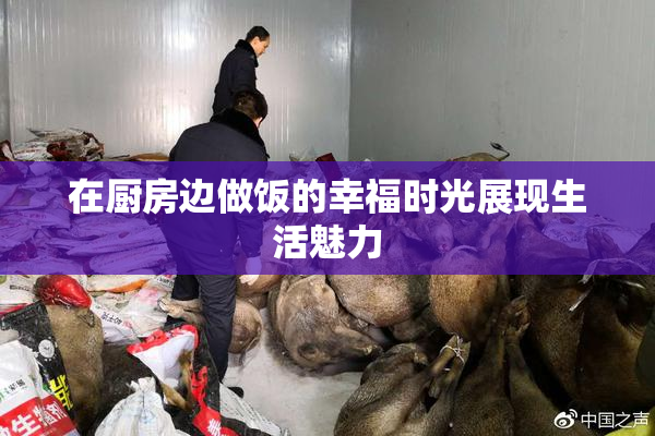 在厨房边做饭的幸福时光展现生活魅力
