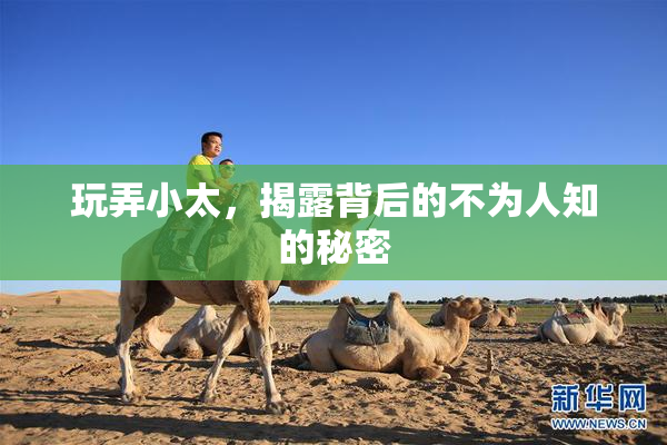 玩弄小太，揭露背后的不为人知的秘密