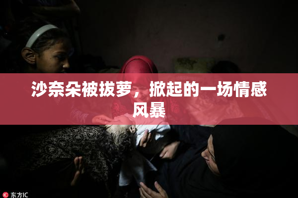 沙奈朵被拔萝，掀起的一场情感风暴