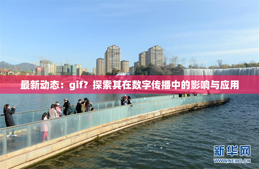 最新动态：gif？探索其在数字传播中的影响与应用