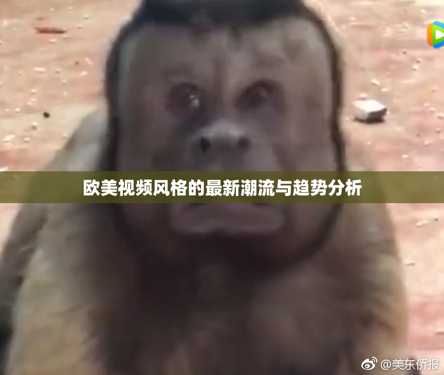 欧美视频风格的最新潮流与趋势分析