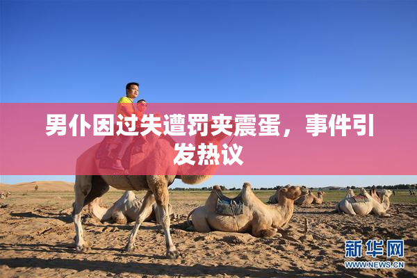 男仆因过失遭罚夹震蛋，事件引发热议