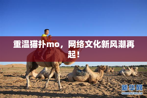 重温猫扑mo，网络文化新风潮再起！