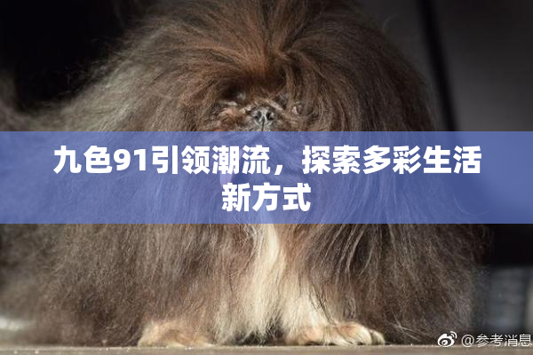九色91引领潮流，探索多彩生活新方式