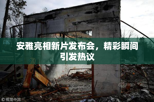安雅亮相新片发布会，精彩瞬间引发热议