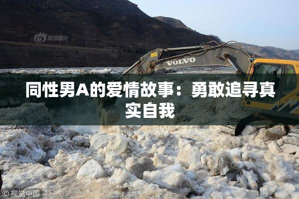 同性男A的爱情故事：勇敢追寻真实自我