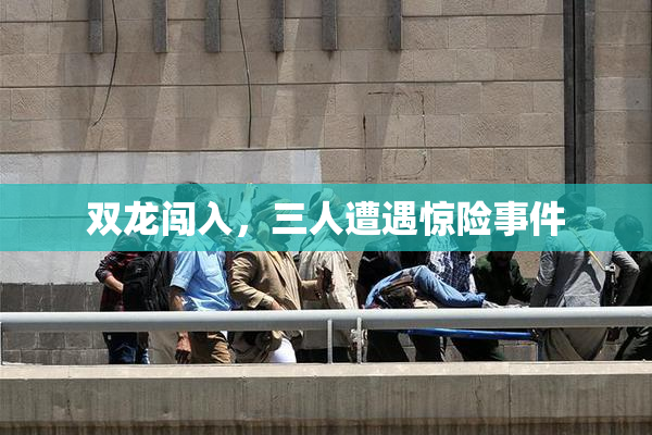 双龙闯入，三人遭遇惊险事件