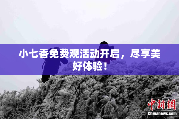 小七香免费观活动开启，尽享美好体验！