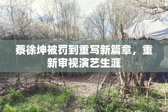 蔡徐坤被罚到重写新篇章，重新审视演艺生涯