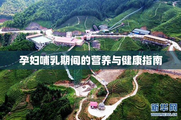 孕妇哺乳期间的营养与健康指南