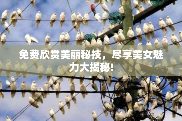 免费欣赏美丽秘技，尽享美女魅力大揭秘!