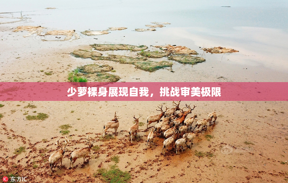 少萝裸身展现自我，挑战审美极限