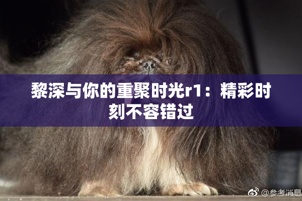 黎深与你的重聚时光r1：精彩时刻不容错过