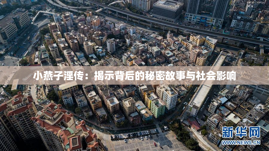 小燕子淫传：揭示背后的秘密故事与社会影响