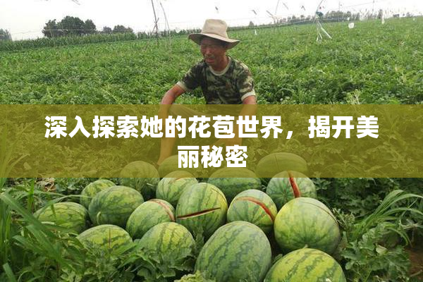 深入探索她的花苞世界，揭开美丽秘密