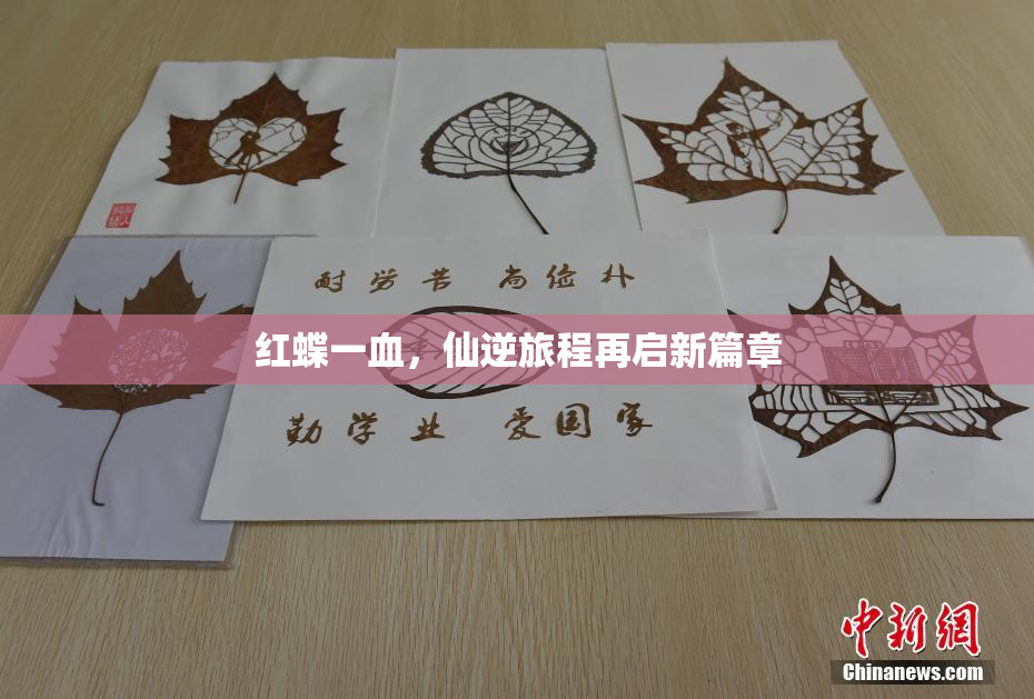 红蝶一血，仙逆旅程再启新篇章