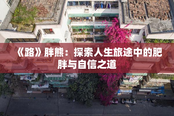 《路》胖熊：探索人生旅途中的肥胖与自信之道