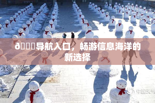 🍓导航入口，畅游信息海洋的新选择