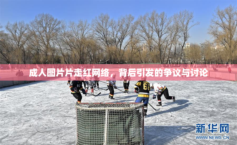 成人图片片走红网络，背后引发的争议与讨论