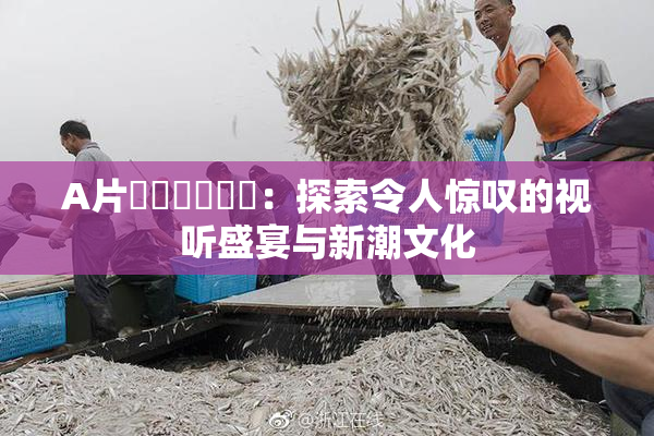 A片❌‌❌‌❌‌：探索令人惊叹的视听盛宴与新潮文化