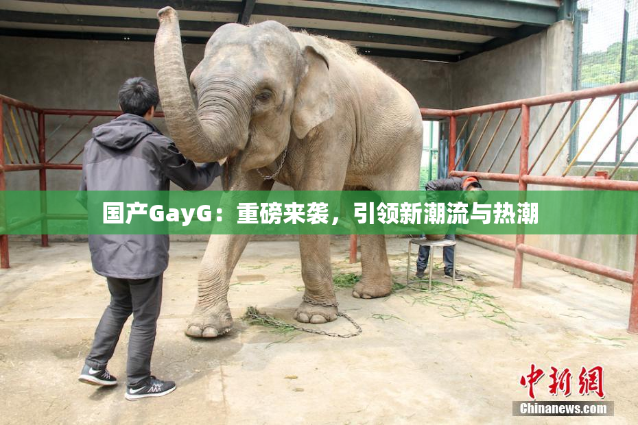 国产GayG：重磅来袭，引领新潮流与热潮