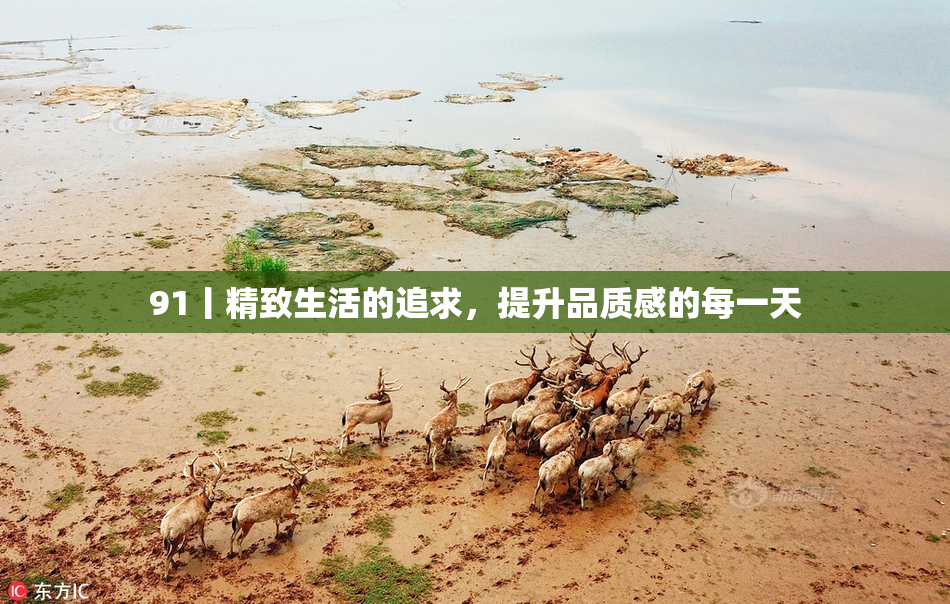 91丨精致生活的追求，提升品质感的每一天