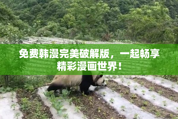 免费韩漫完美破解版，一起畅享精彩漫画世界！