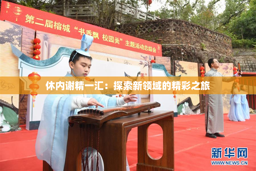 休内谢精一汇：探索新领域的精彩之旅