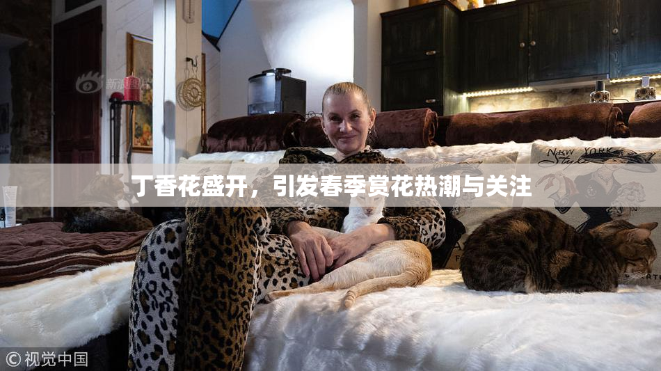 丁香花盛开，引发春季赏花热潮与关注